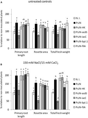 Volatile-Mediated Effects Predominate in Paraburkholderia phytofirmans Growth Promotion and Salt Stress Tolerance of Arabidopsis thaliana